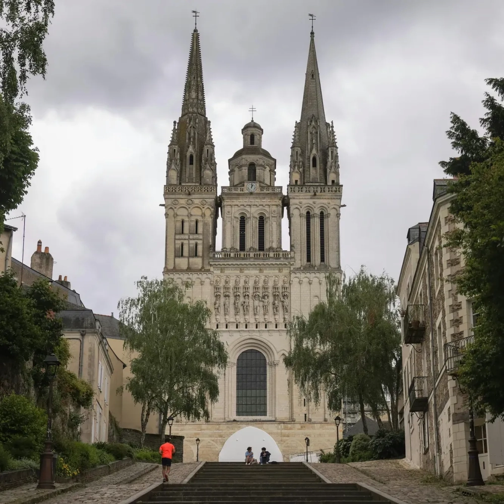 L'Étude LA MAISON DU CONSEIL L'Étude LA MAISON DU CONSEIL
